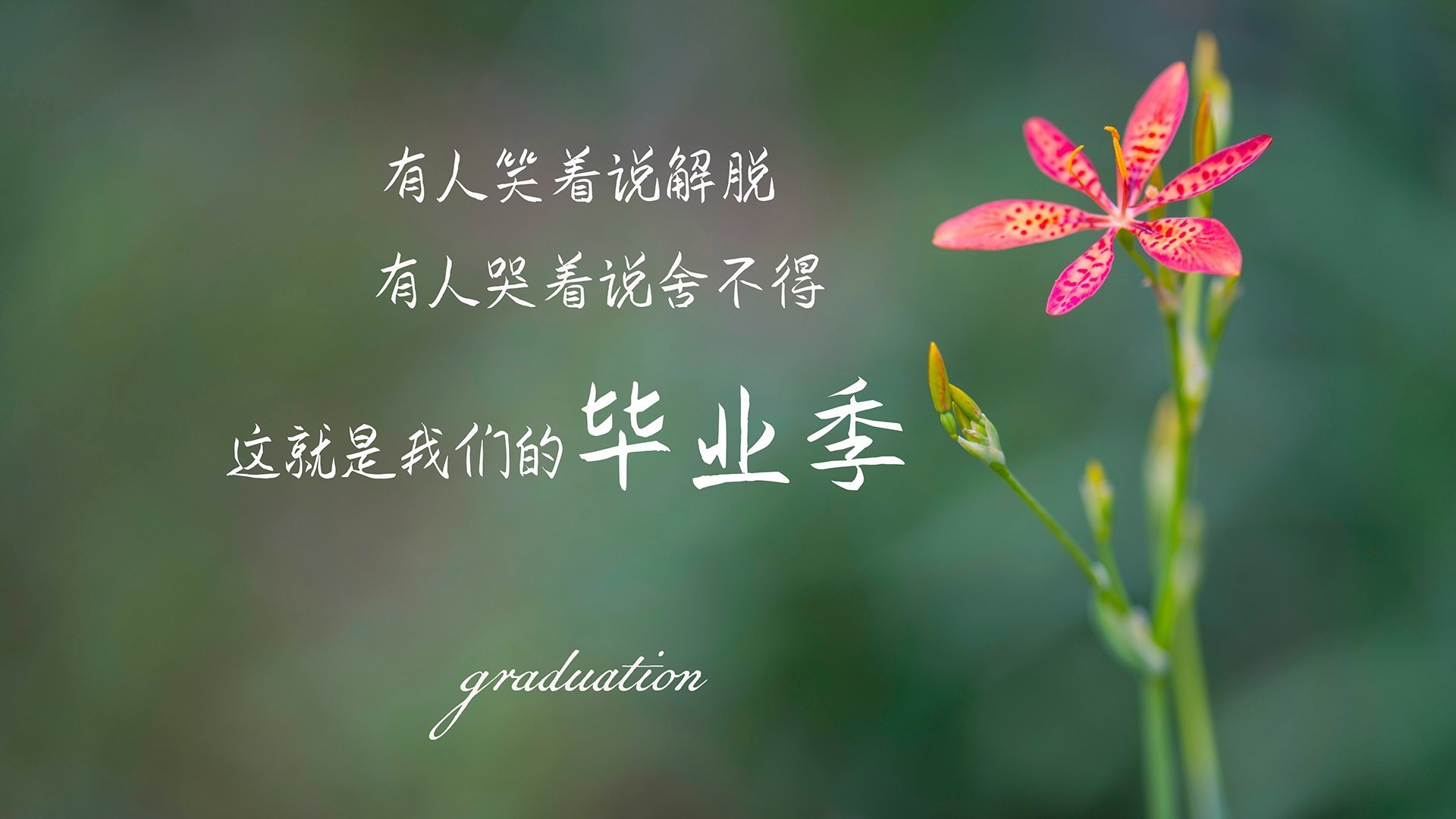 体育产业人才培养新模式，体育产业人才培养新模式包括